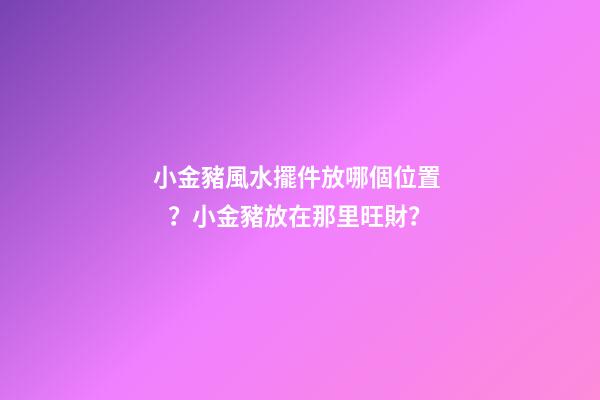 小金豬風水擺件放哪個位置？小金豬放在那里旺財？